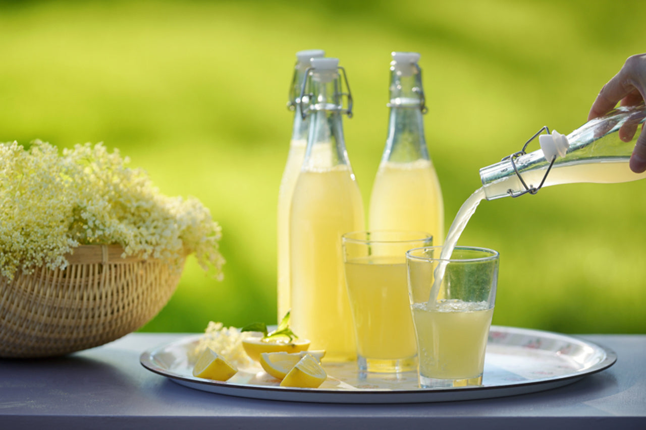 Elderflowers are Popping up Everywhere at the Moment!