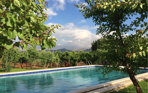 Outdoor swimming pool in the fruit orchard. Piscine en plein air, verger. Heaven in the Bekaa valley. La vallée de la Bekaa. Plaine de la Bekaa. Beqaa valley. Deep in the heart of historic Lebanon lies an enchanting heaven of peace and tranquility.  